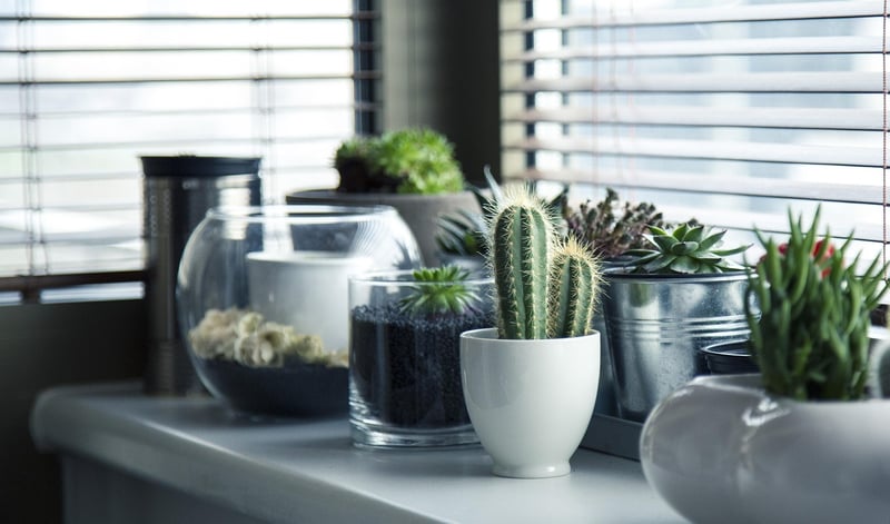 Green Living Crafts